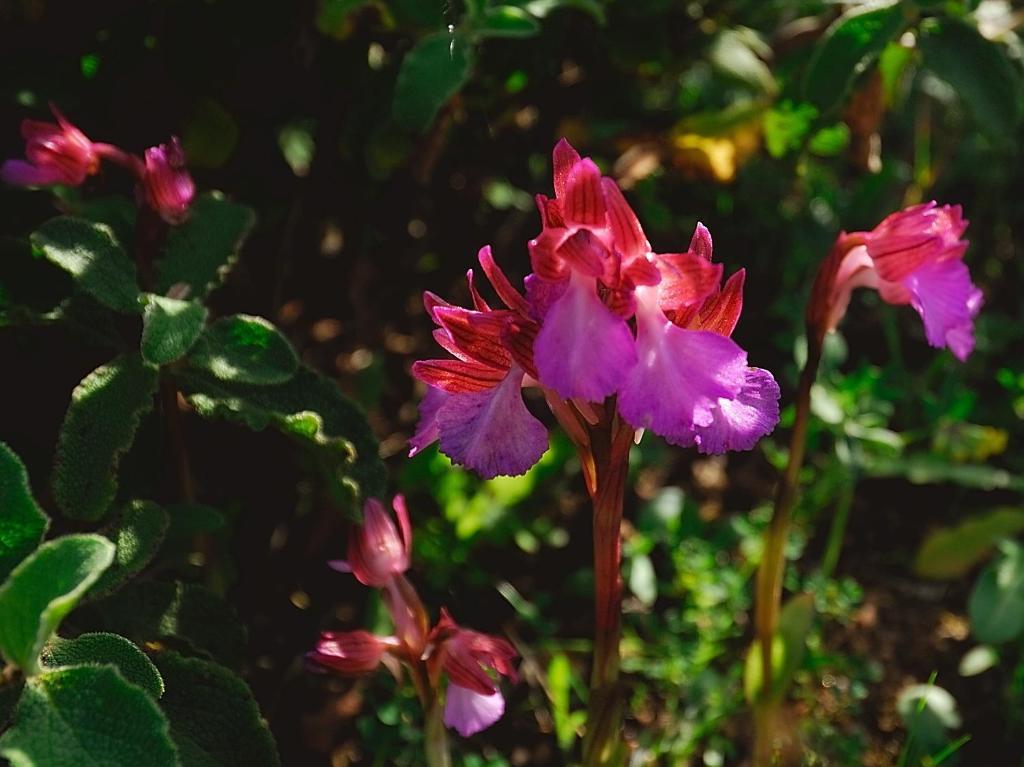 サンタ・テレーザ・ガッルーラ La Chicca Di Francesca Bed & Breakfast エクステリア 写真